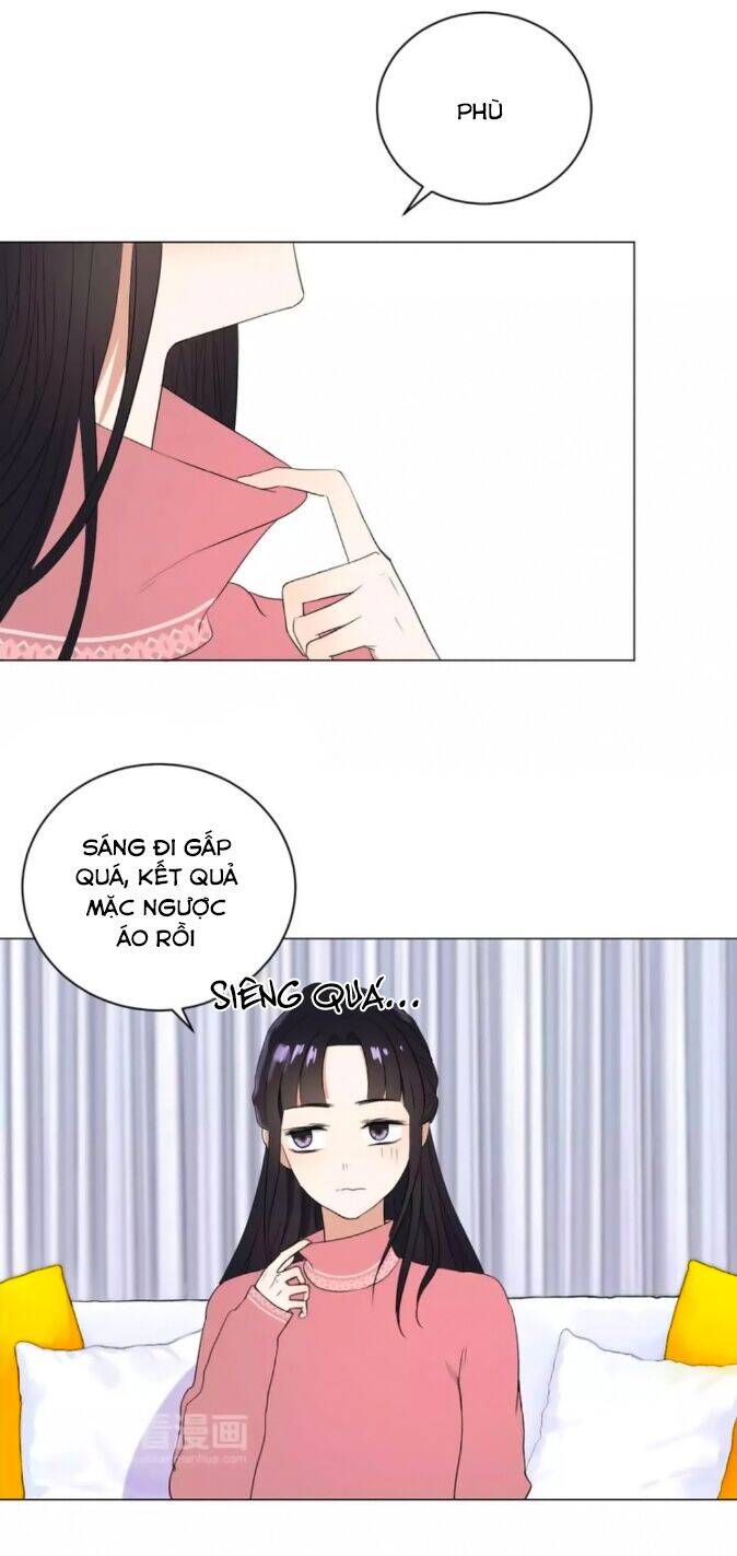 Chào Buổi Sáng, Hướng Dương Chapter 41 - 7