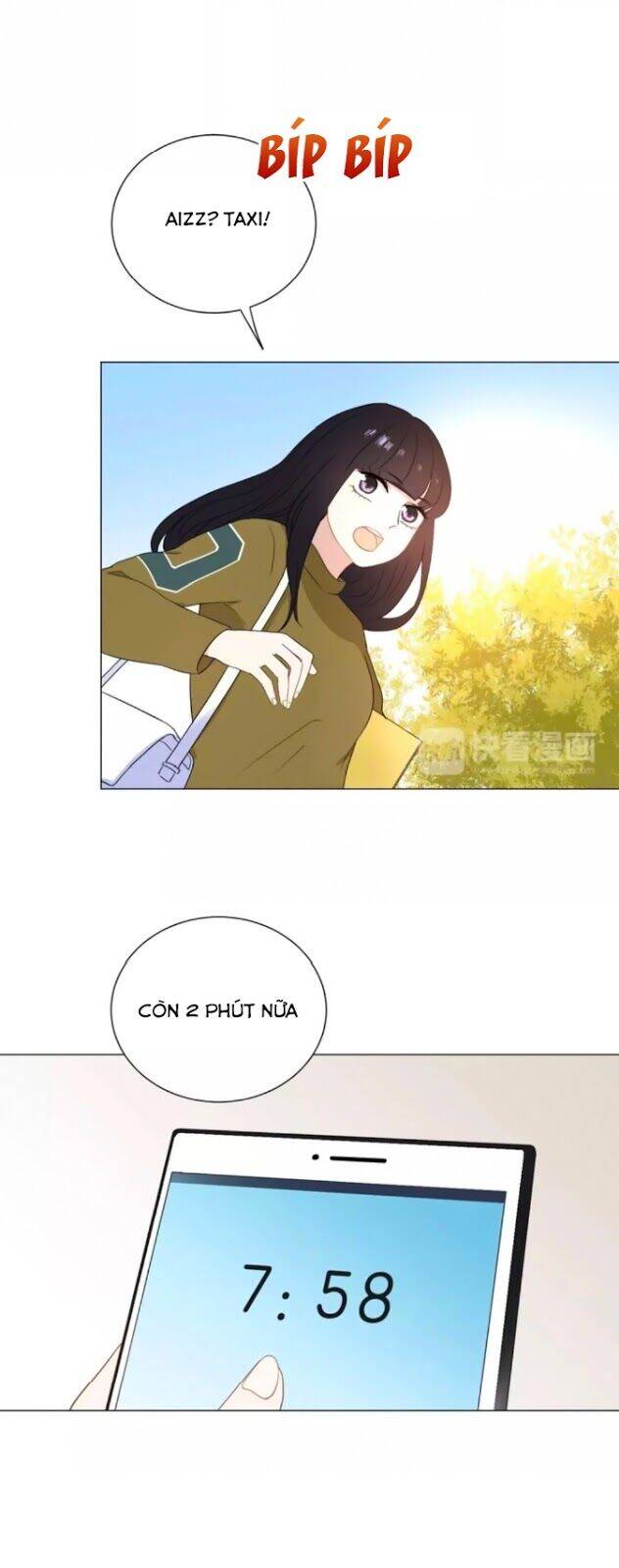 Chào Buổi Sáng, Hướng Dương Chapter 43 - 12