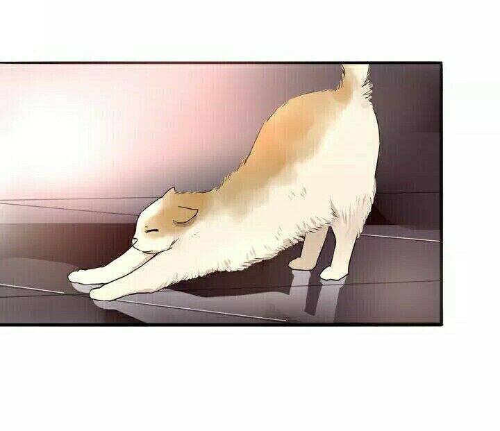 Chào Buổi Sáng, Hướng Dương Chapter 6 - 45