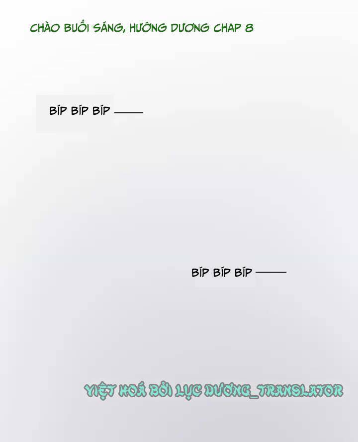 Chào Buổi Sáng, Hướng Dương Chapter 8 - 1