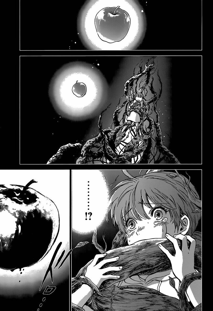 Áo Giáp Vàng: Nữ Thánh Đấu Sĩ Chapter 1 - 6