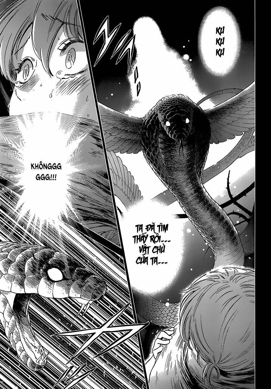 Áo Giáp Vàng: Nữ Thánh Đấu Sĩ Chapter 1 - 8