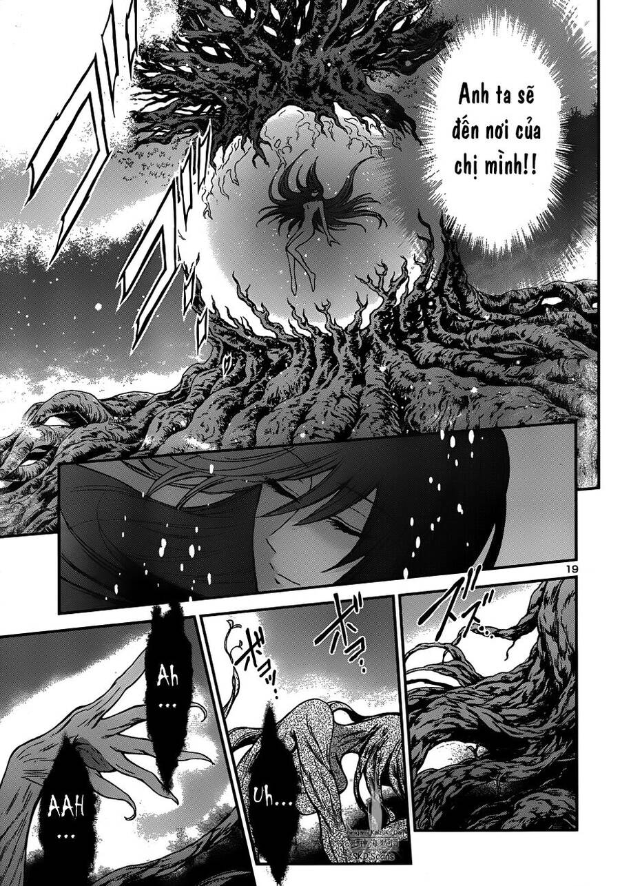 Áo Giáp Vàng: Nữ Thánh Đấu Sĩ Chapter 11 - 18