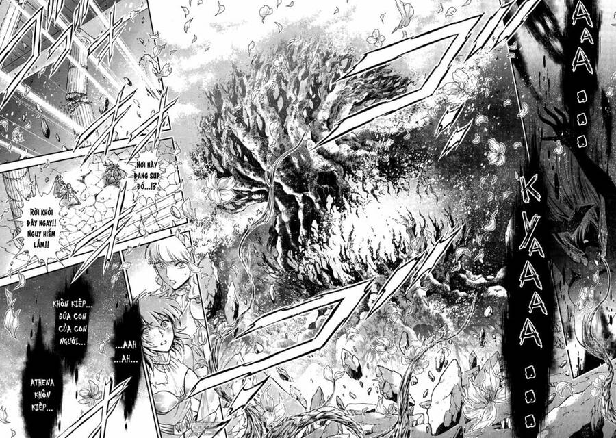 Áo Giáp Vàng: Nữ Thánh Đấu Sĩ Chapter 12 - 35