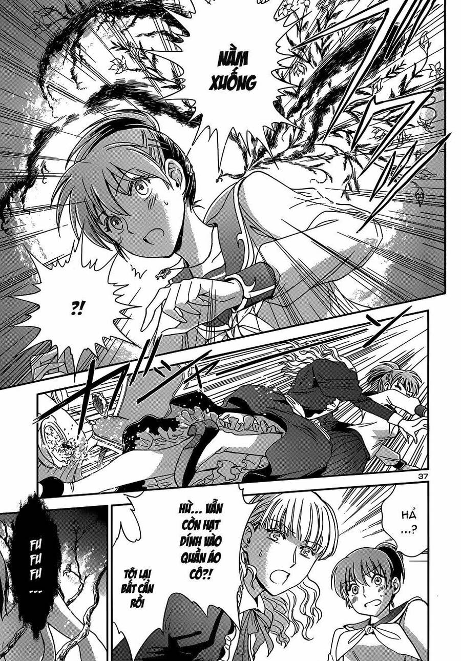 Áo Giáp Vàng: Nữ Thánh Đấu Sĩ Chapter 2 - 40