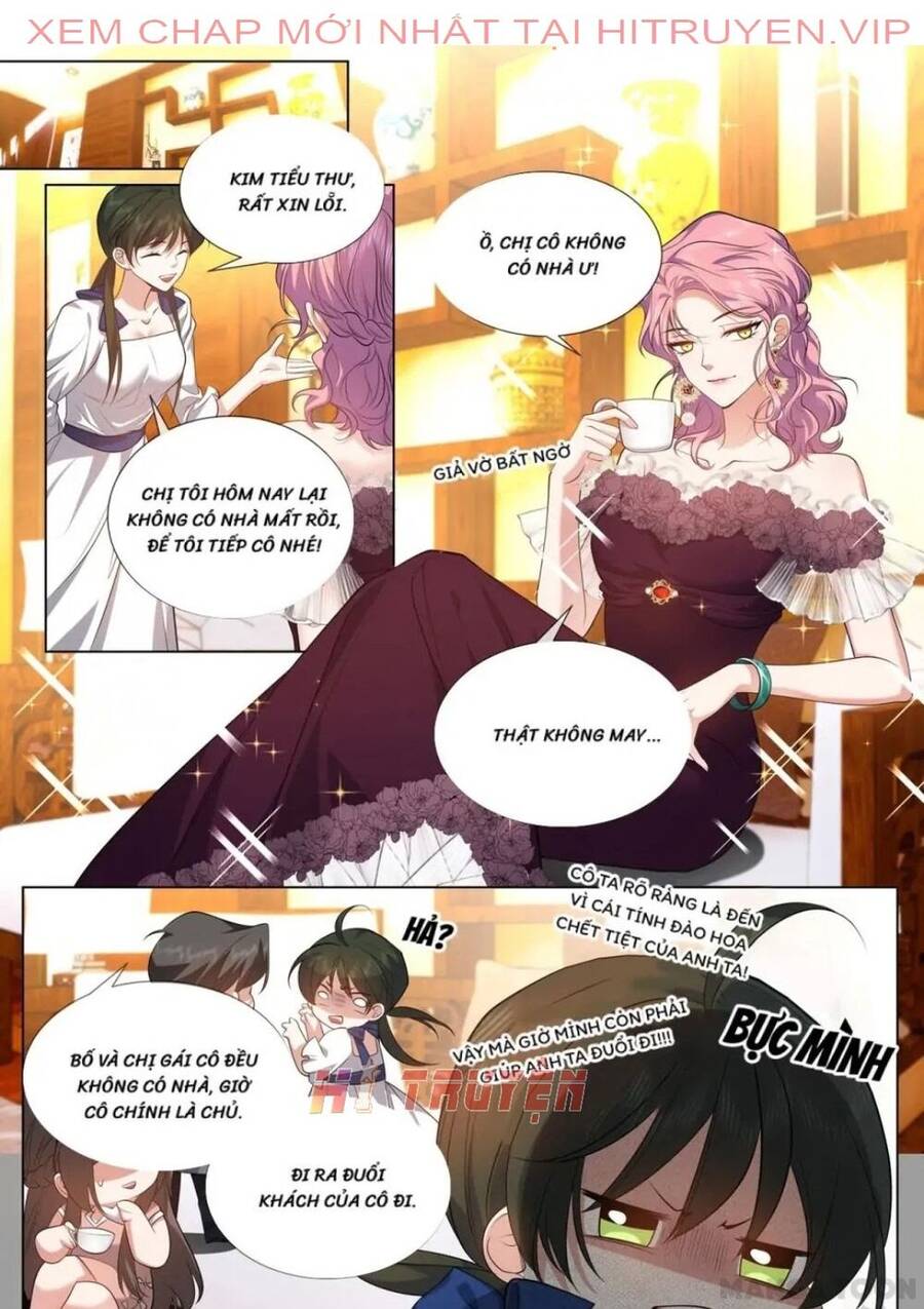 Thiếu Soái! Vợ Ngài Lại Bỏ Trốn Chapter 491 - 1