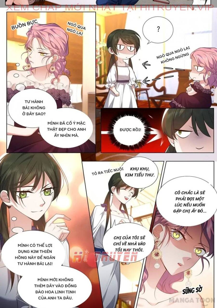 Thiếu Soái! Vợ Ngài Lại Bỏ Trốn Chapter 491 - 2