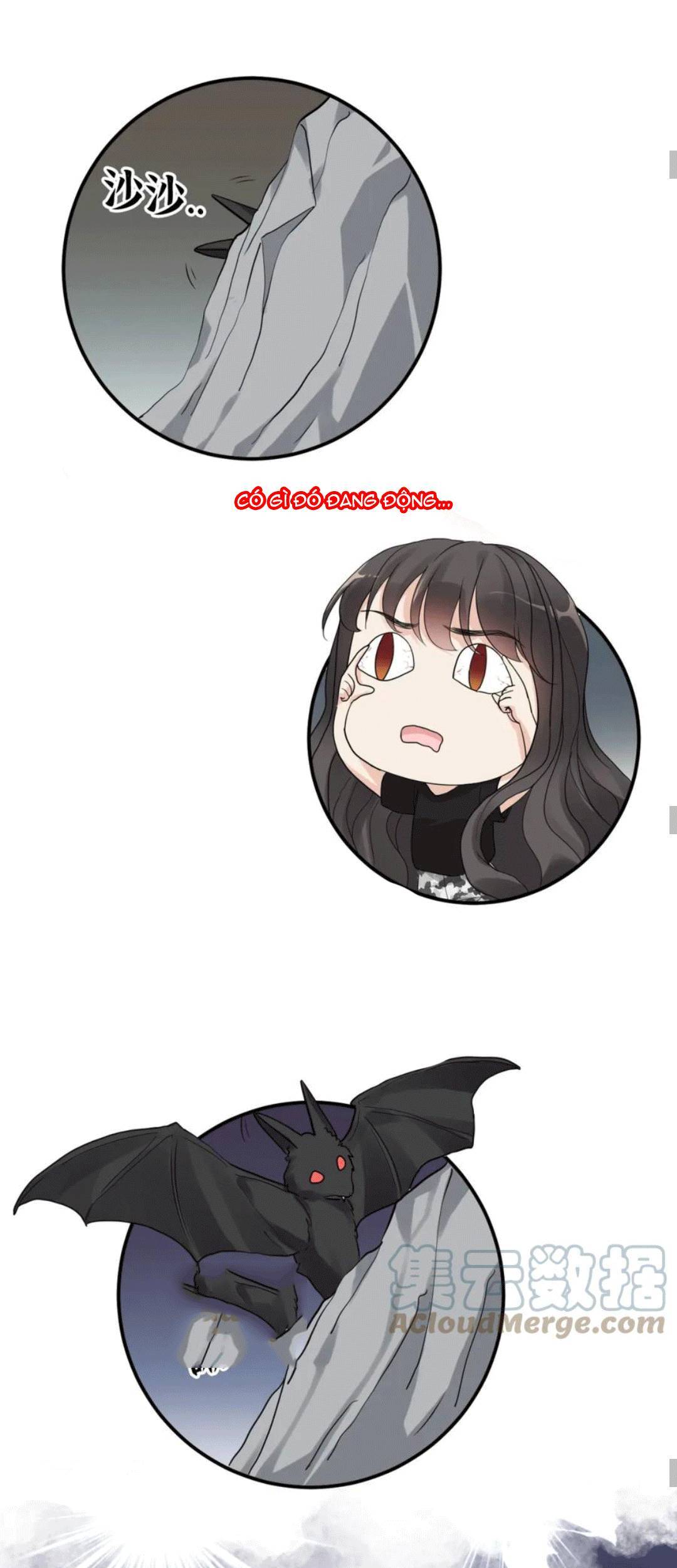 Cô Vợ Hợp Đồng Bỏ Trốn Của Tổng Giám Đốc Chapter 472 - 20