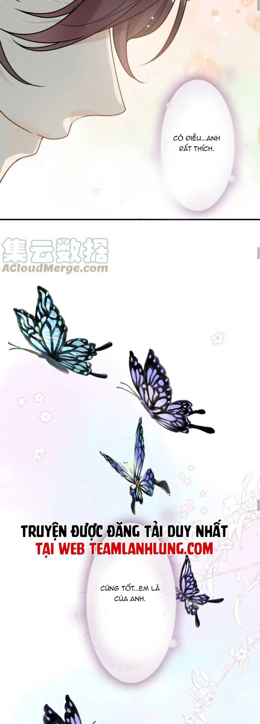 Cô Vợ Hợp Đồng Bỏ Trốn Của Tổng Giám Đốc Chapter 479 - 16