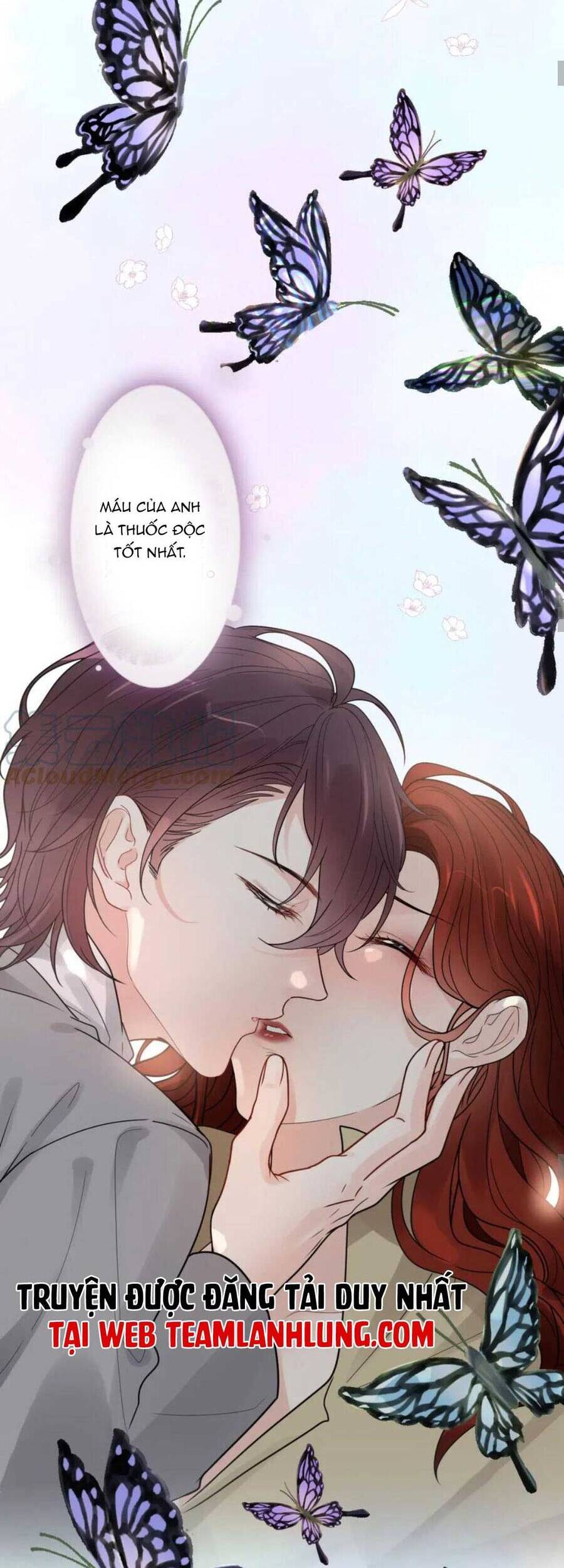 Cô Vợ Hợp Đồng Bỏ Trốn Của Tổng Giám Đốc Chapter 479 - 17