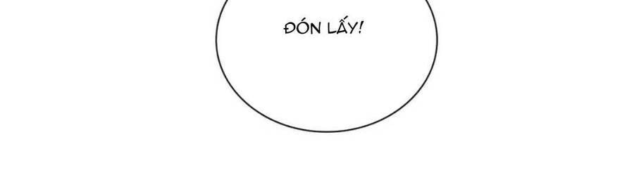 Cô Vợ Hợp Đồng Bỏ Trốn Của Tổng Giám Đốc Chapter 479 - 5