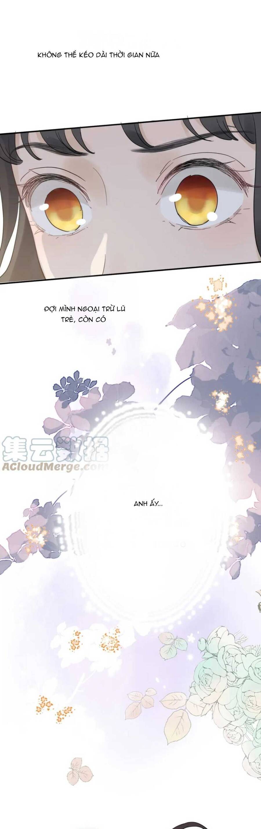 Cô Vợ Hợp Đồng Bỏ Trốn Của Tổng Giám Đốc Chapter 486 - 28