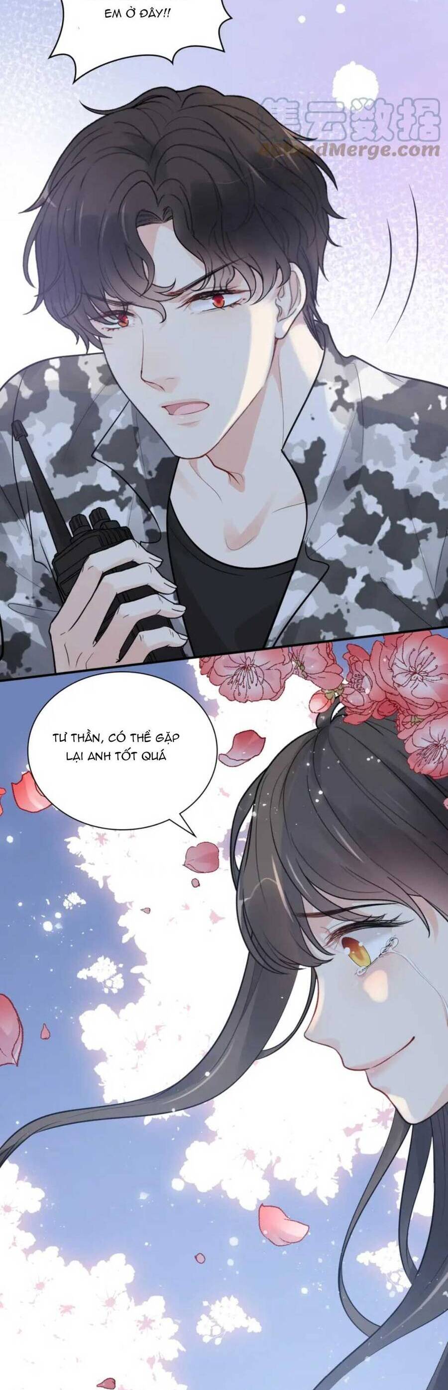 Cô Vợ Hợp Đồng Bỏ Trốn Của Tổng Giám Đốc Chapter 489 - 8