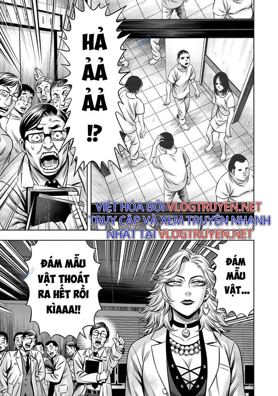 Bí Ngô Cuồng Sát Chapter 77 - 14