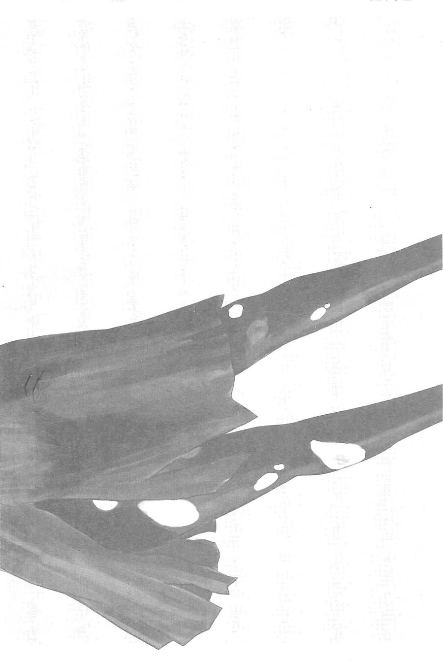 Hyouryuu Net Cafe Chapter 10 - 25