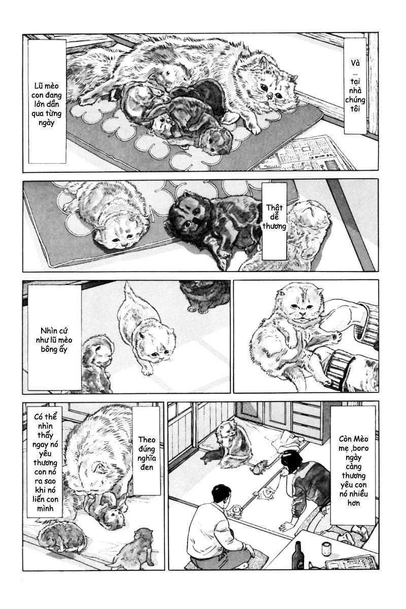 Inu Wo Kau Chapter 3 - 6