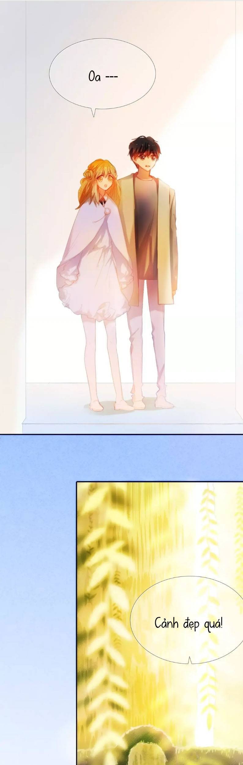 Kế Hoạch Trái Tim Chapter 41 - 22