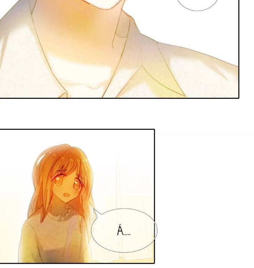 Kế Hoạch Trái Tim Chapter 41 - 7