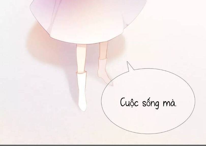 Kế Hoạch Trái Tim Chapter 43 - 15