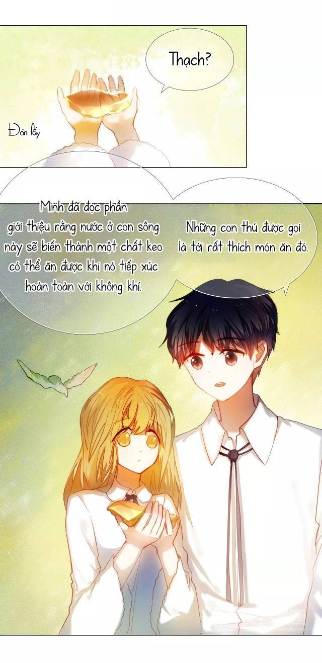 Kế Hoạch Trái Tim Chapter 49 - 15