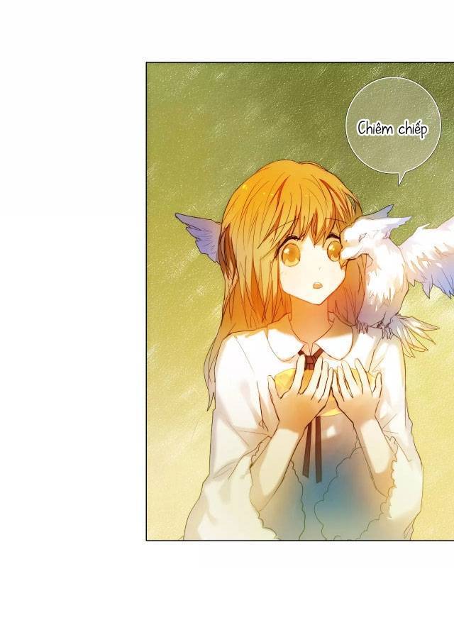 Kế Hoạch Trái Tim Chapter 49 - 16