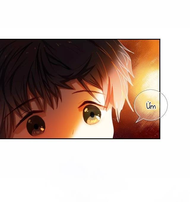 Kế Hoạch Trái Tim Chapter 51 - 31