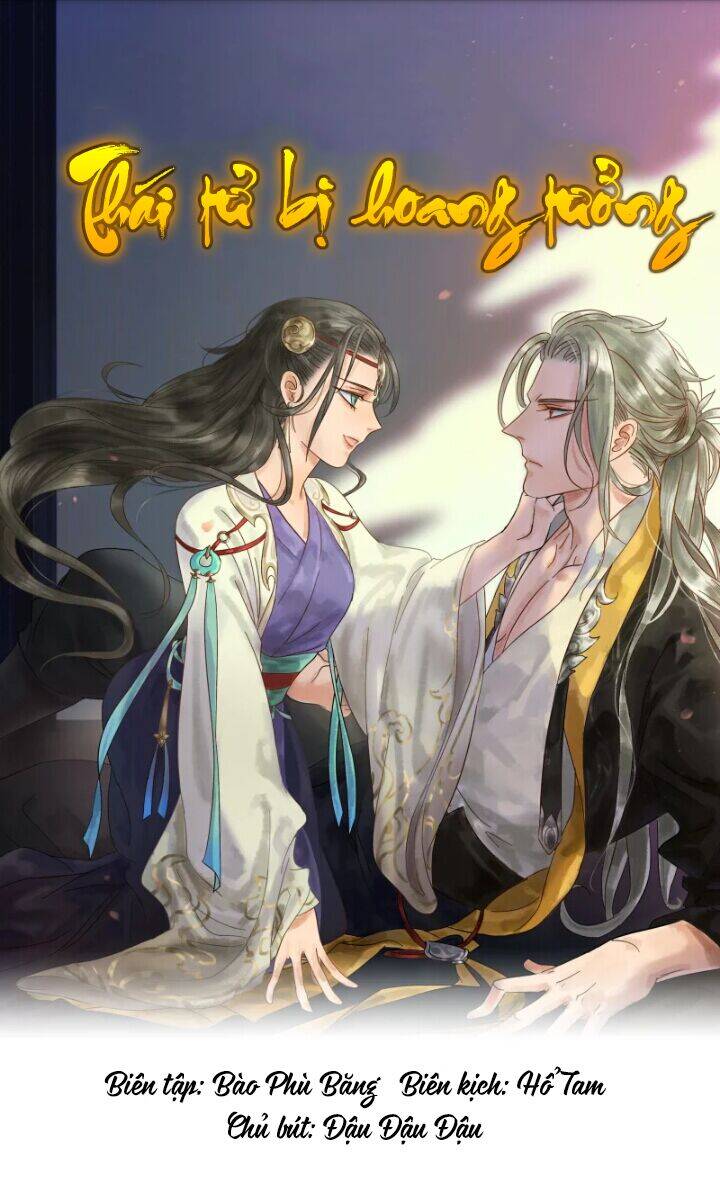 Thái Tử Bị Hoang Tưởng Chapter 34 - 1