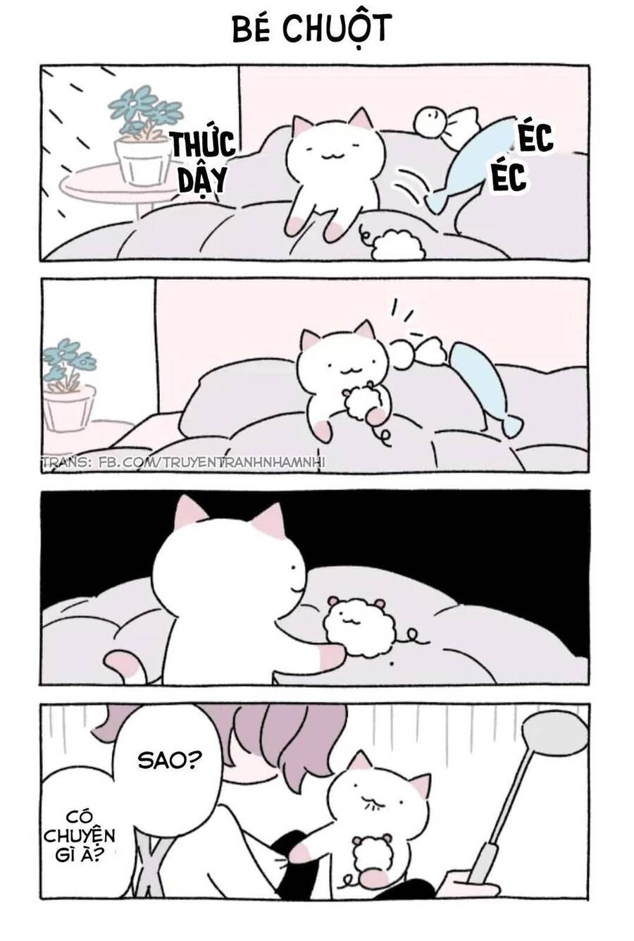 Chú Mèo Kỳ Diệu Kyuu-Chan Chapter 205 - 2