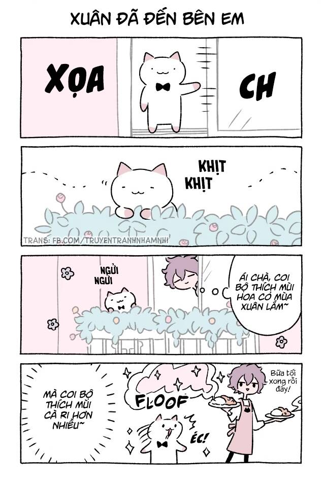 Chú Mèo Kỳ Diệu Kyuu-Chan Chapter 314 - 2