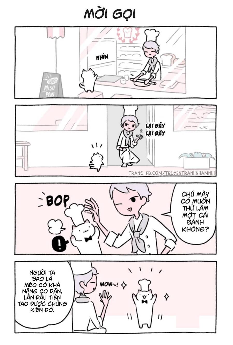 Chú Mèo Kỳ Diệu Kyuu-Chan Chapter 316 - 2