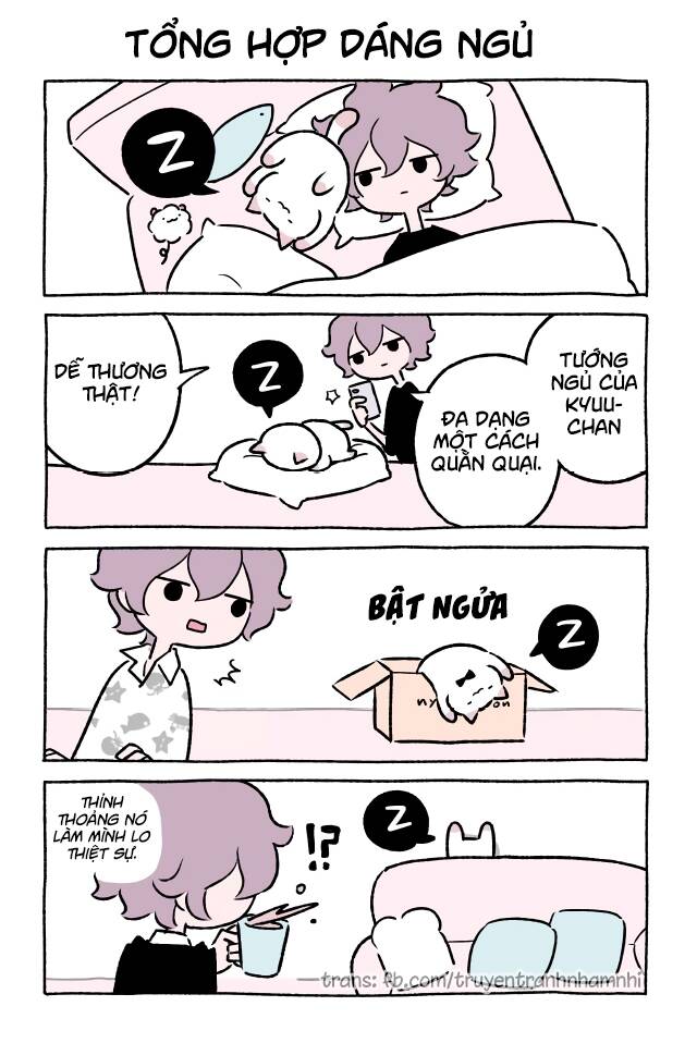 Chú Mèo Kỳ Diệu Kyuu-Chan Chapter 338 - 2