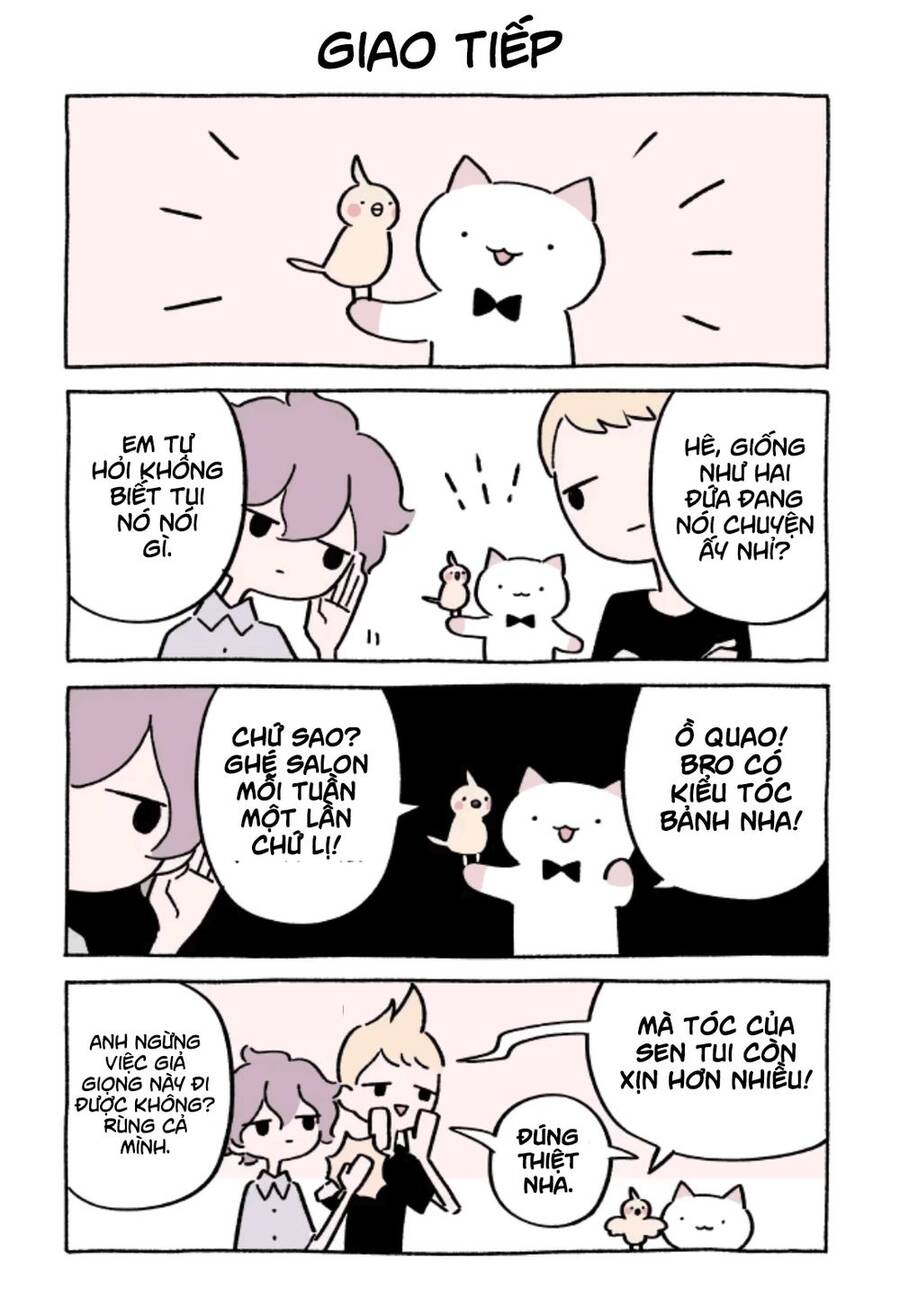 Chú Mèo Kỳ Diệu Kyuu-Chan Chapter 367 - 2