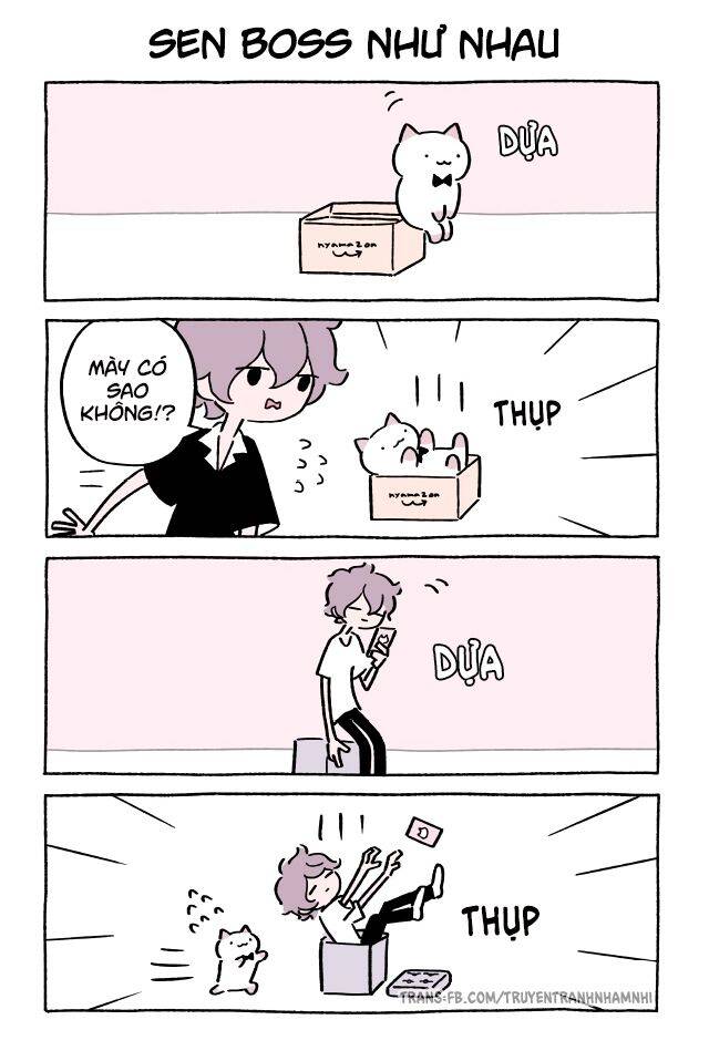 Chú Mèo Kỳ Diệu Kyuu-Chan Chapter 379 - 2