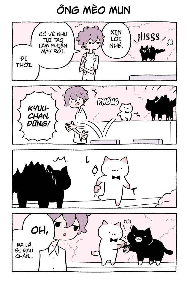 Chú Mèo Kỳ Diệu Kyuu-Chan Chapter 404 - 2