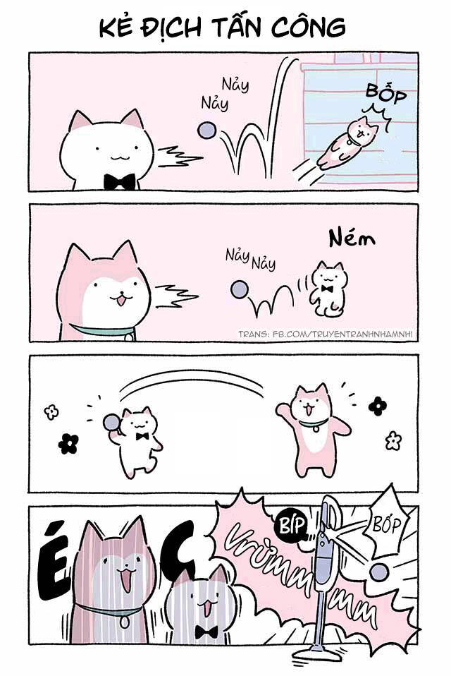 Chú Mèo Kỳ Diệu Kyuu-Chan Chapter 446 - 2