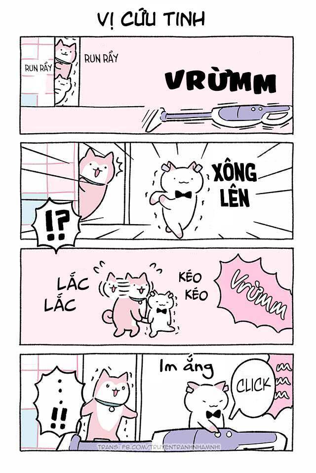 Chú Mèo Kỳ Diệu Kyuu-Chan Chapter 447 - 2