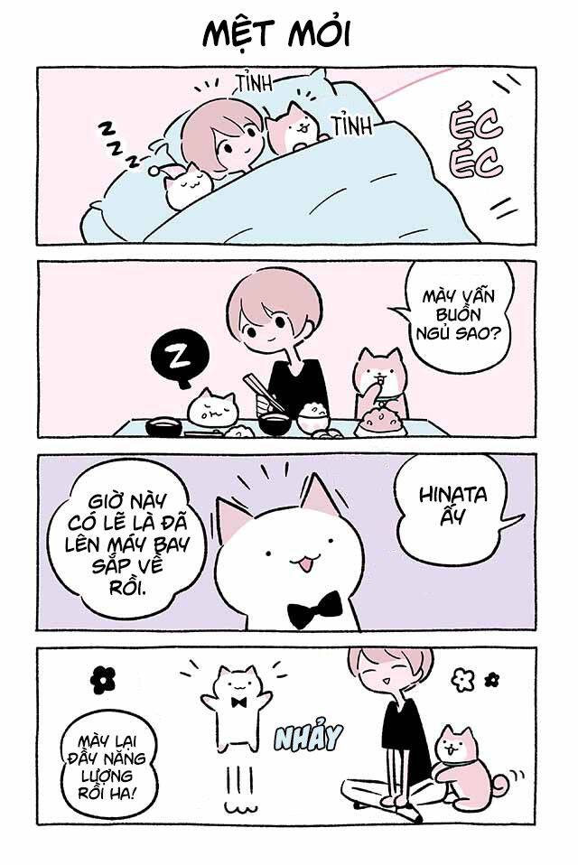 Chú Mèo Kỳ Diệu Kyuu-Chan Chapter 455 - 2