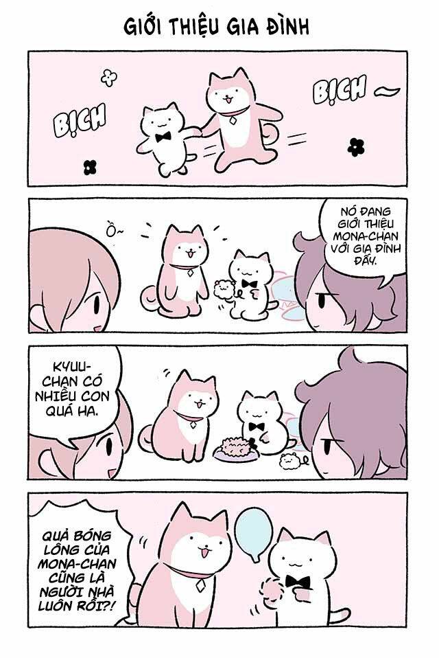 Chú Mèo Kỳ Diệu Kyuu-Chan Chapter 476 - 2