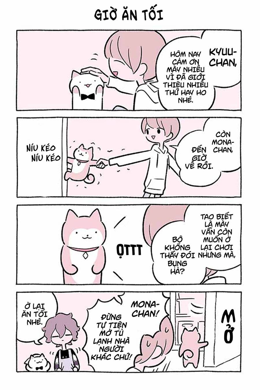 Chú Mèo Kỳ Diệu Kyuu-Chan Chapter 477 - 2