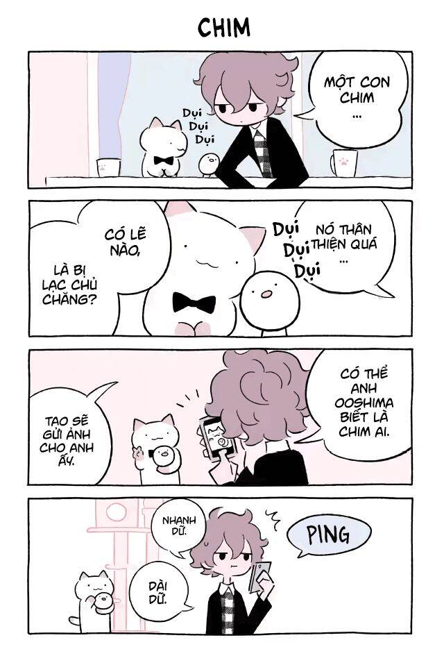 Chú Mèo Kỳ Diệu Kyuu-Chan Chapter 543 - 2