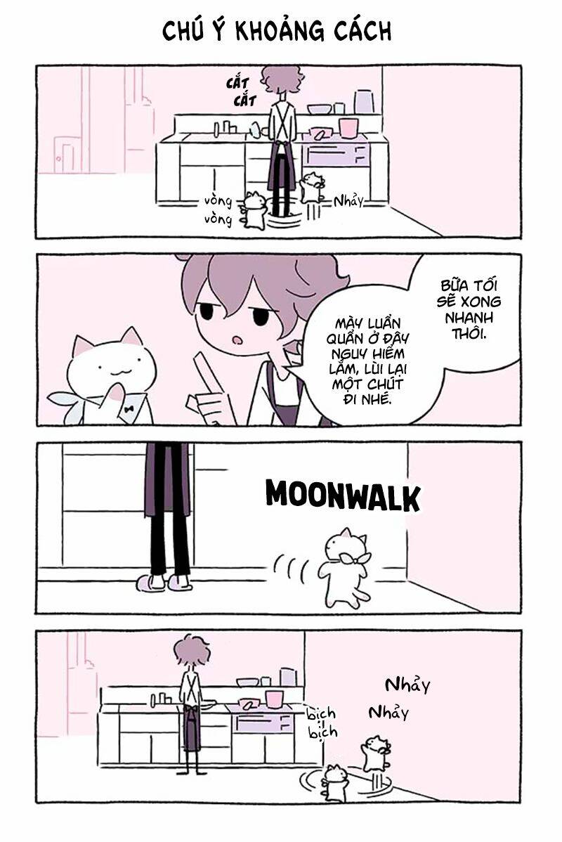 Chú Mèo Kỳ Diệu Kyuu-Chan Chapter 577 - 2