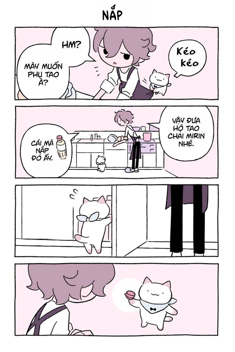 Chú Mèo Kỳ Diệu Kyuu-Chan Chapter 578 - 2