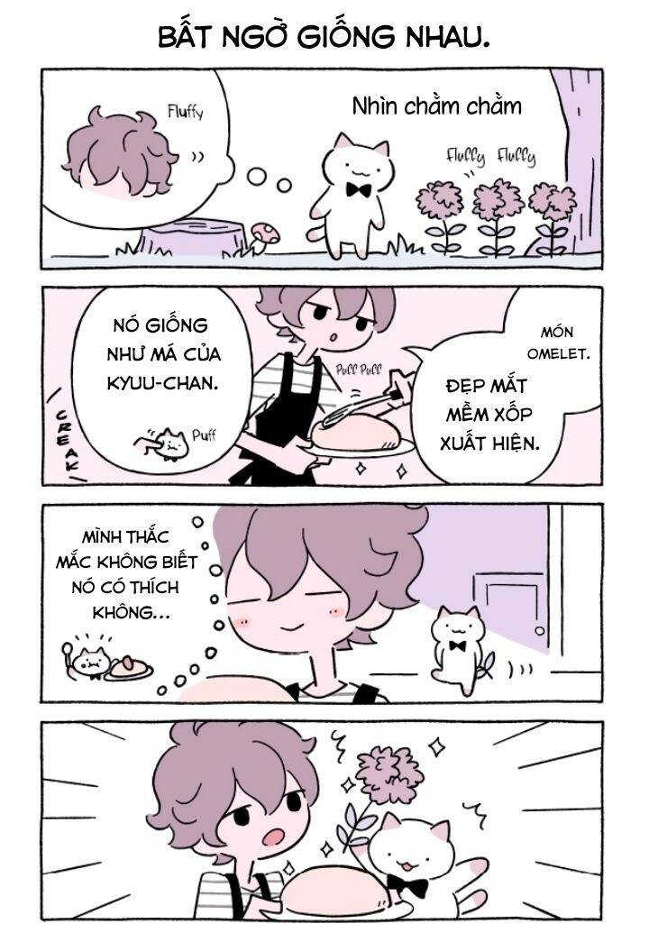 Chú Mèo Kỳ Diệu Kyuu-Chan Chapter 639 - 3