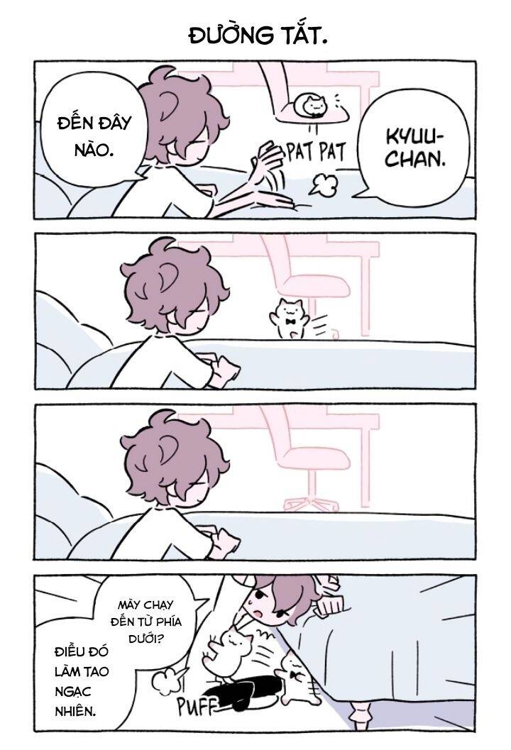 Chú Mèo Kỳ Diệu Kyuu-Chan Chapter 665 - 3