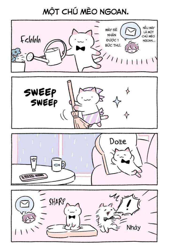 Chú Mèo Kỳ Diệu Kyuu-Chan Chapter 669 - 3