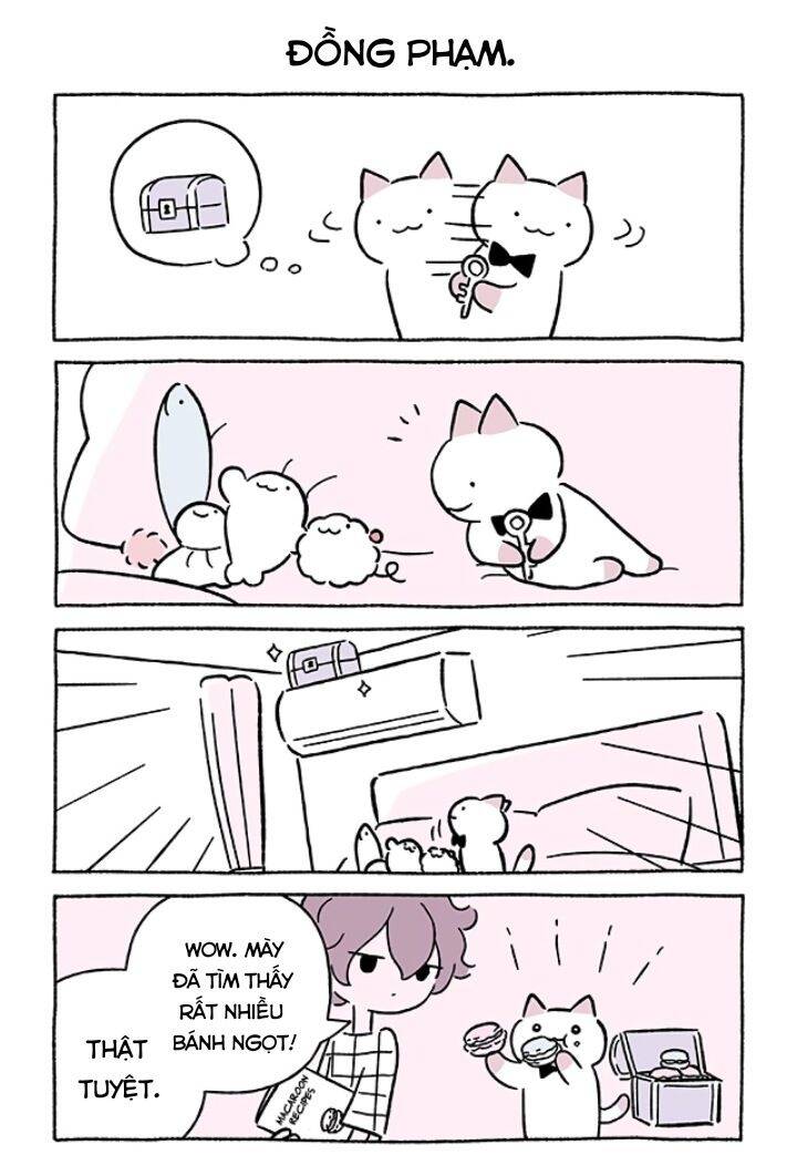 Chú Mèo Kỳ Diệu Kyuu-Chan Chapter 673 - 3