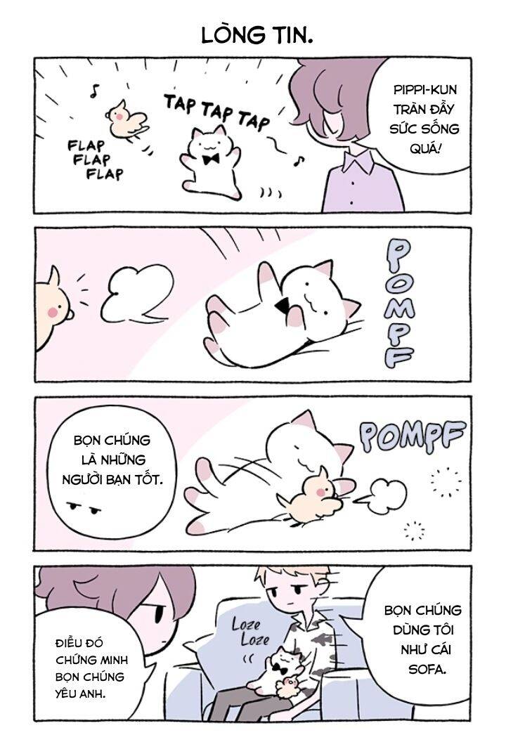 Chú Mèo Kỳ Diệu Kyuu-Chan Chapter 687 - 3