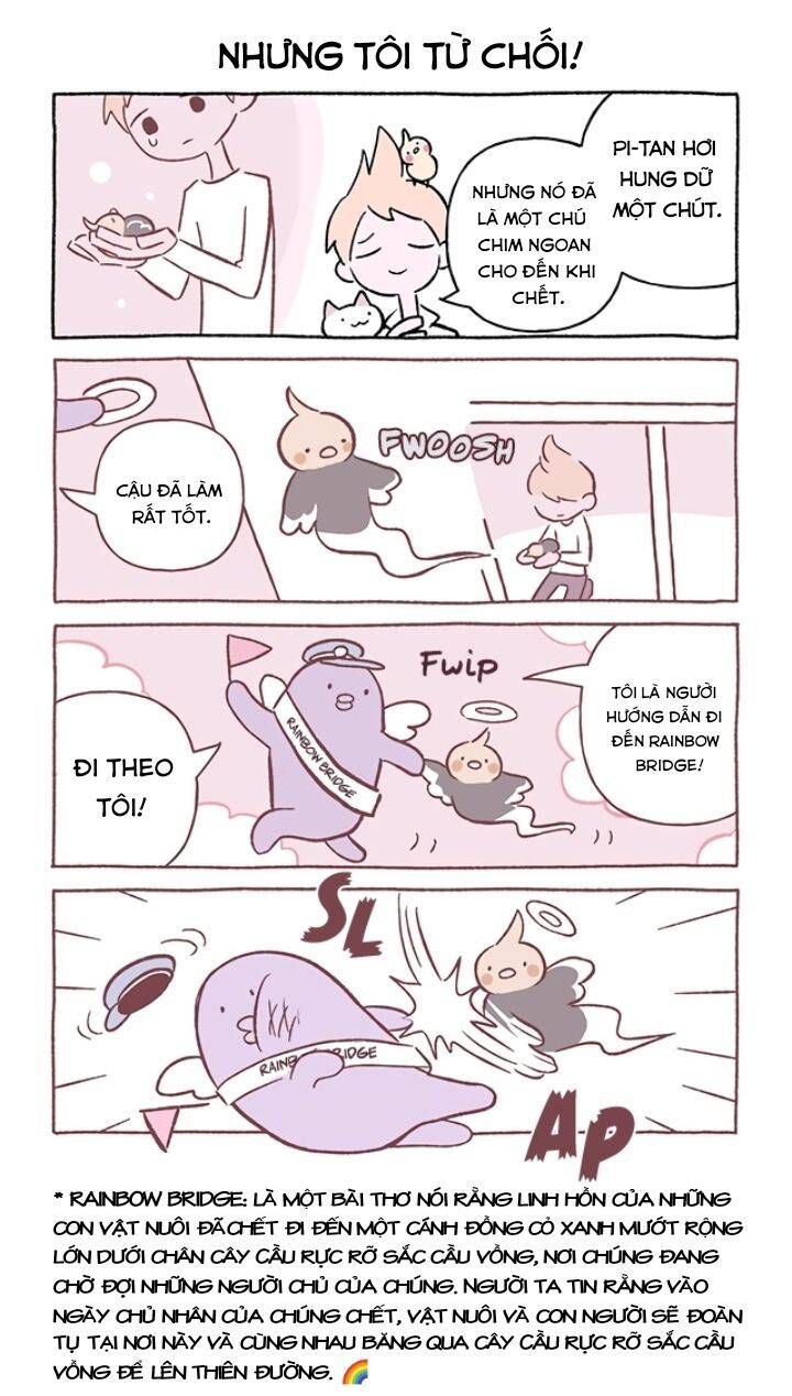 Chú Mèo Kỳ Diệu Kyuu-Chan Chapter 689 - 3