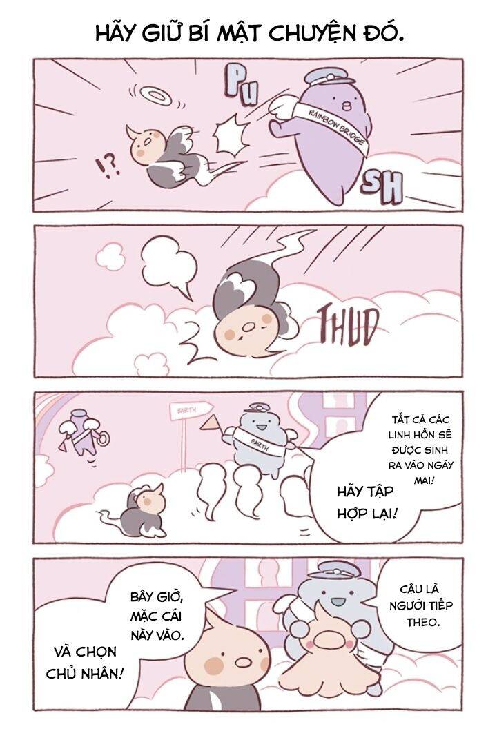 Chú Mèo Kỳ Diệu Kyuu-Chan Chapter 691 - 3