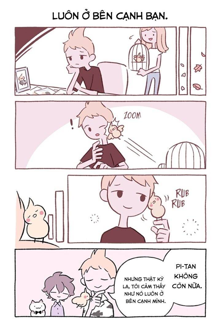 Chú Mèo Kỳ Diệu Kyuu-Chan Chapter 692 - 3